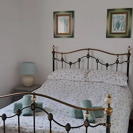 Coolams * イングルトン